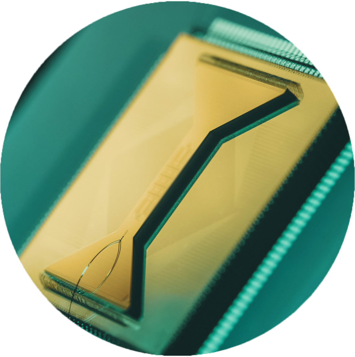 Chip Image